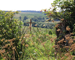 Вид на крест и зарастающие поля от разрушенного храма с. Красное -Воскресенское